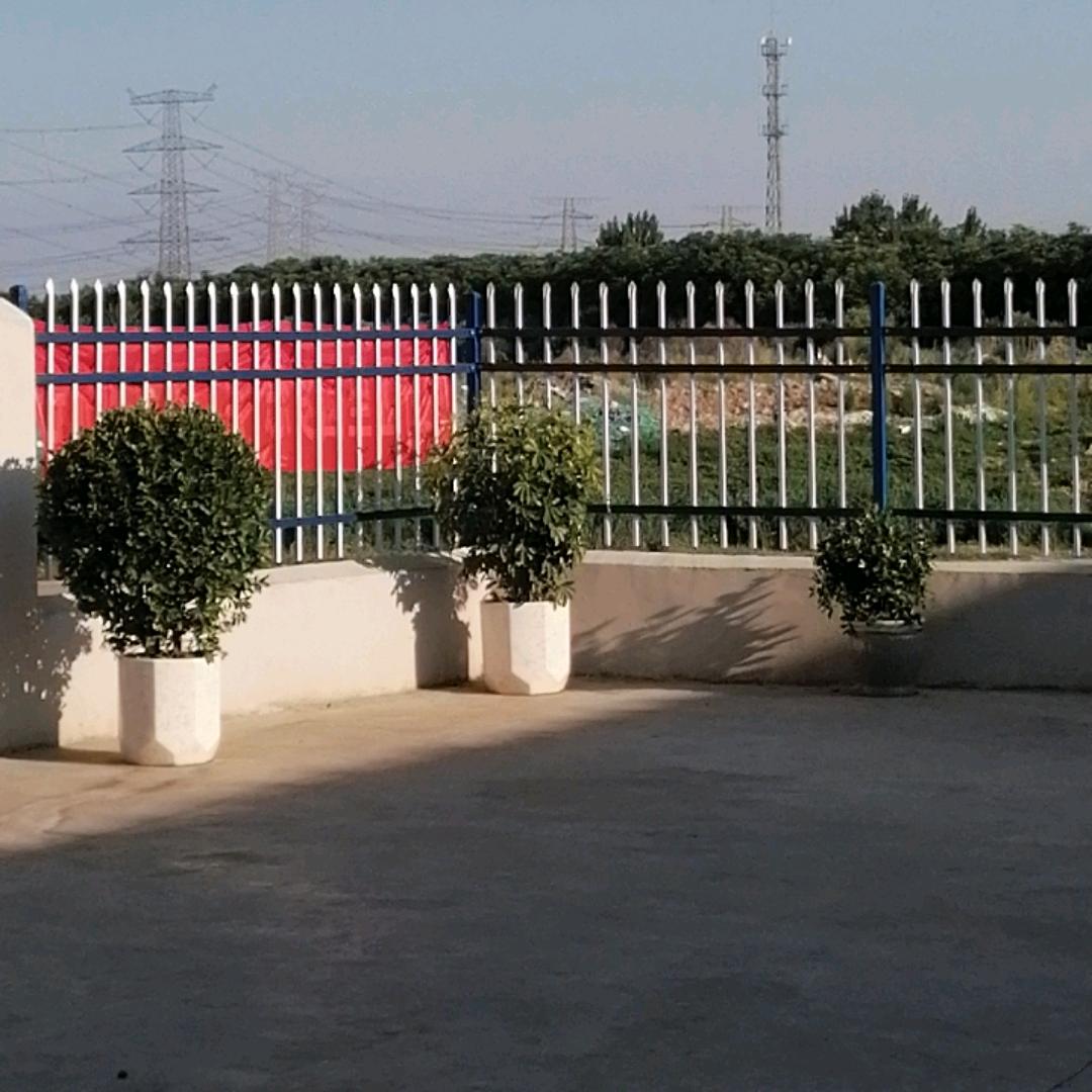 天下掉下杨岭好肥呀