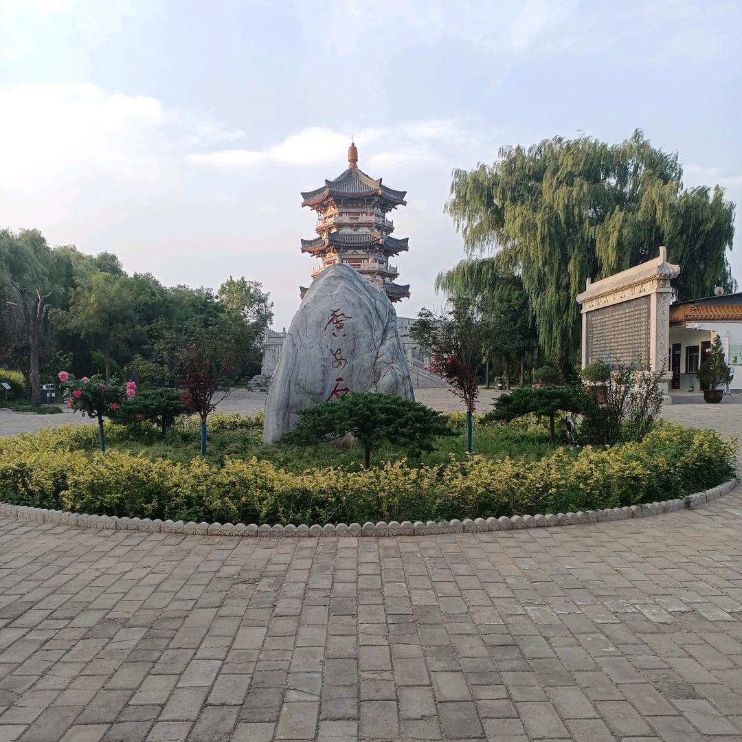 百荷花