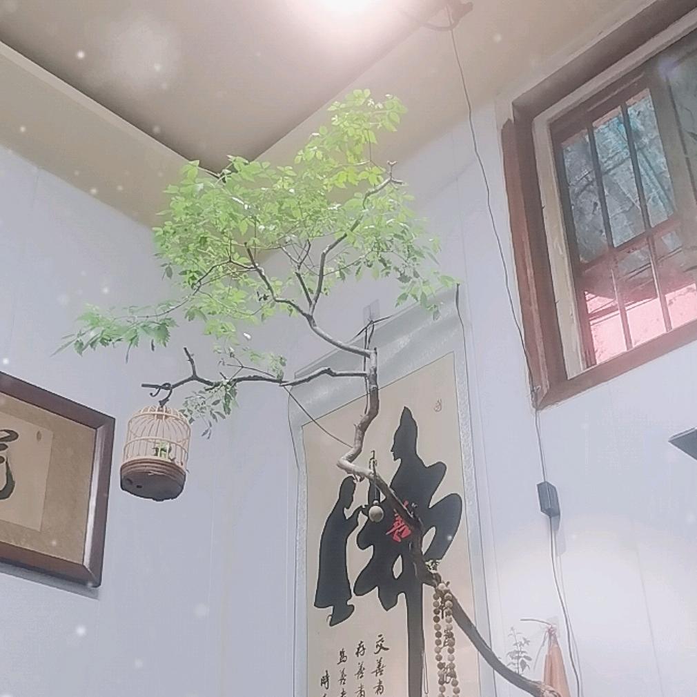 善行天下