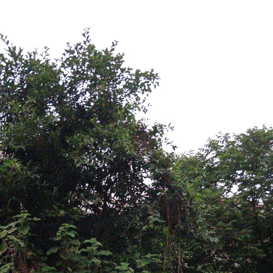 ♤梦醒终是空♛