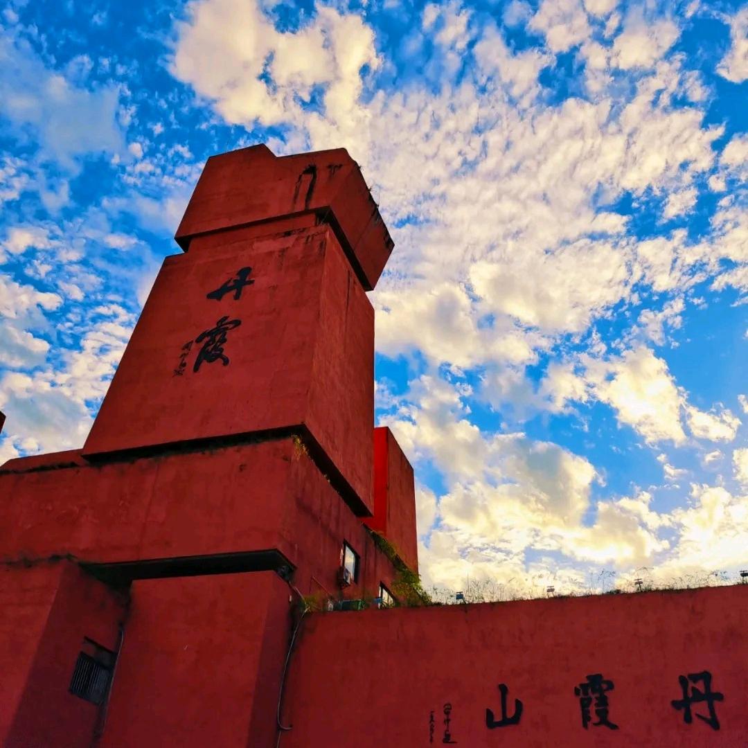 雨林