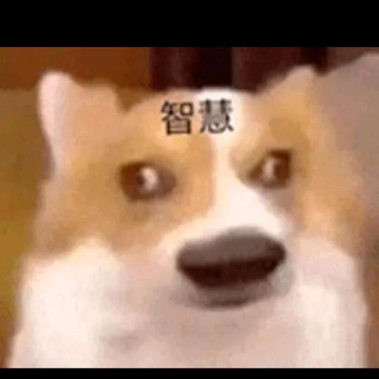 一切从零开始666
