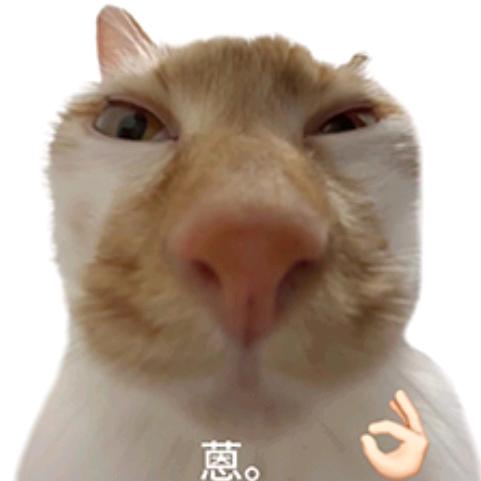 我是老奶奶
