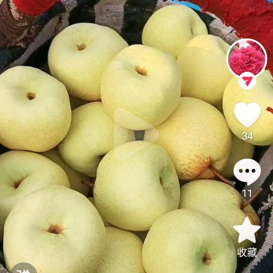 人生如梦
