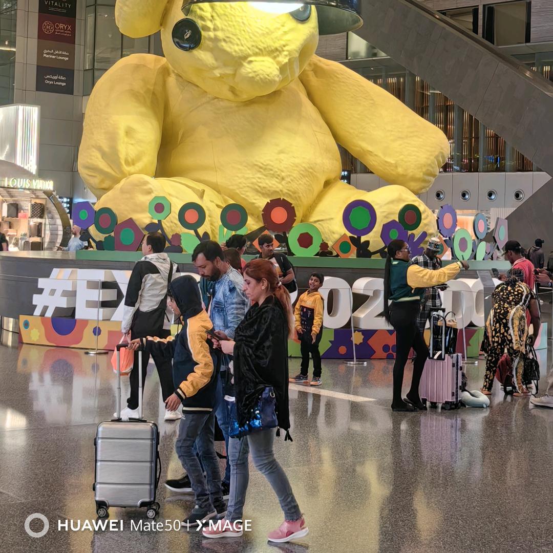 东哥闯非洲