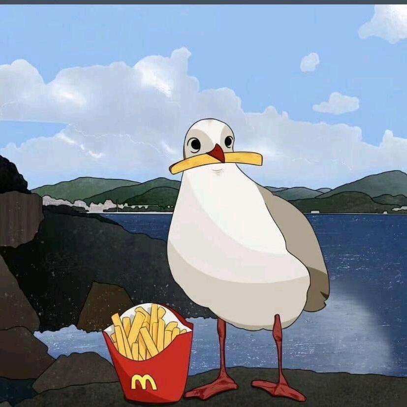 张马哲
