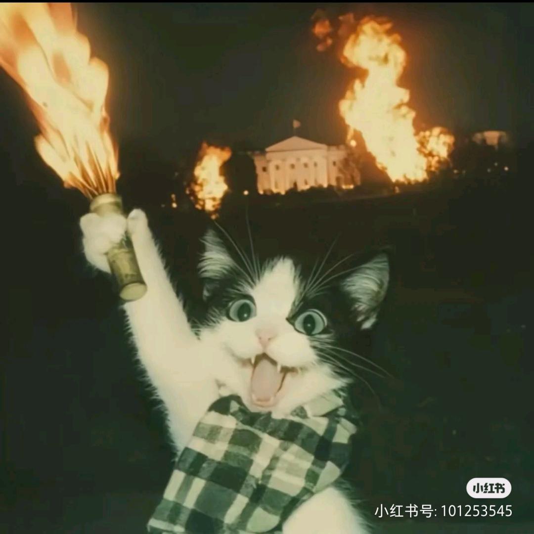 青丘正熙