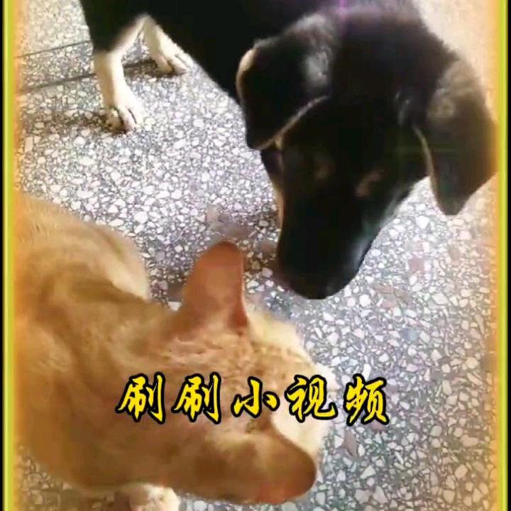 何美自然平安是福