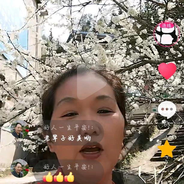 胖姐姐