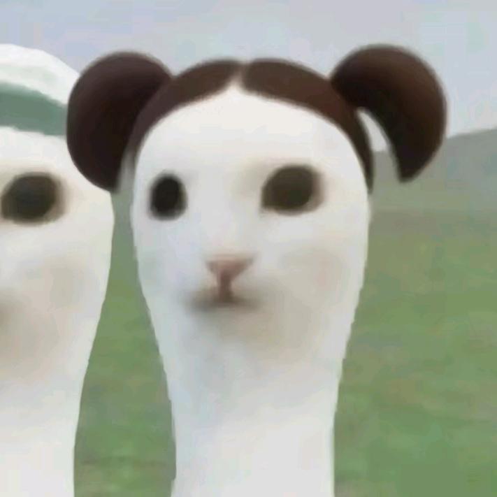 见晚春