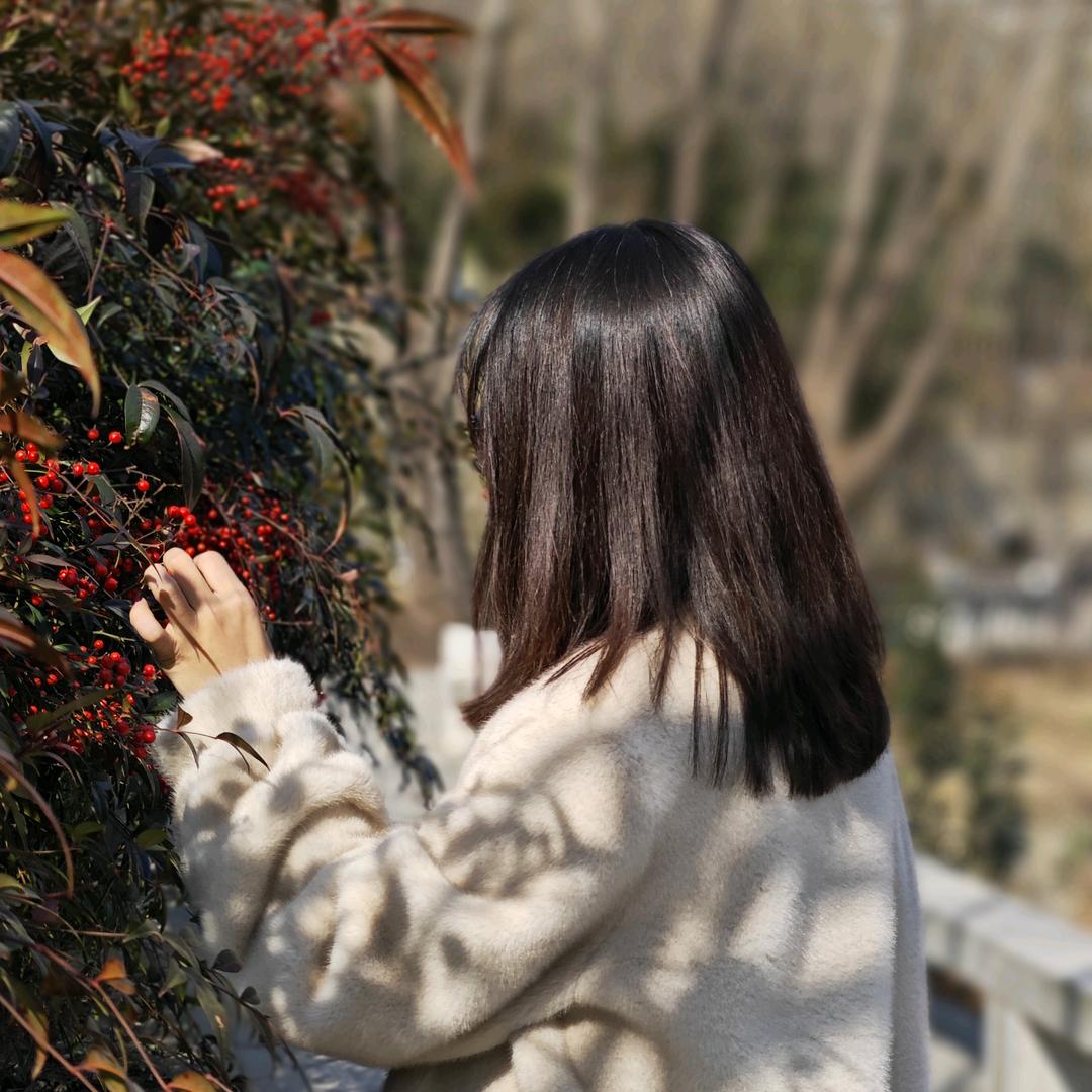 沈丘商贸城小米之家