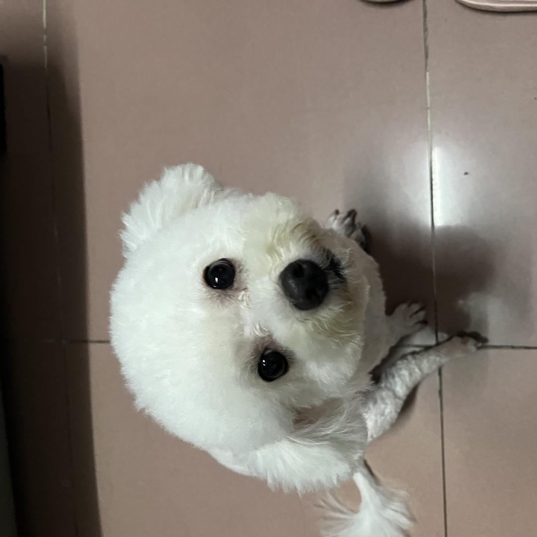 圆圆带你吃喝玩乐