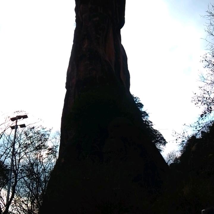 家人和