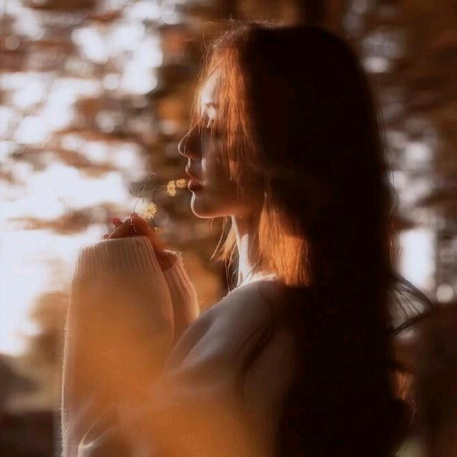 柒柒.