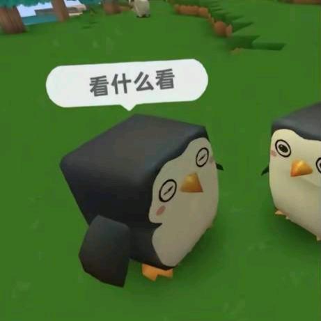-大.大猪妞🐾^