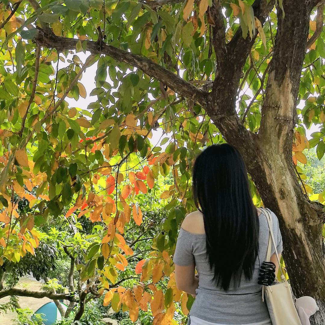 🌈柒柒爱吃香菜🌈