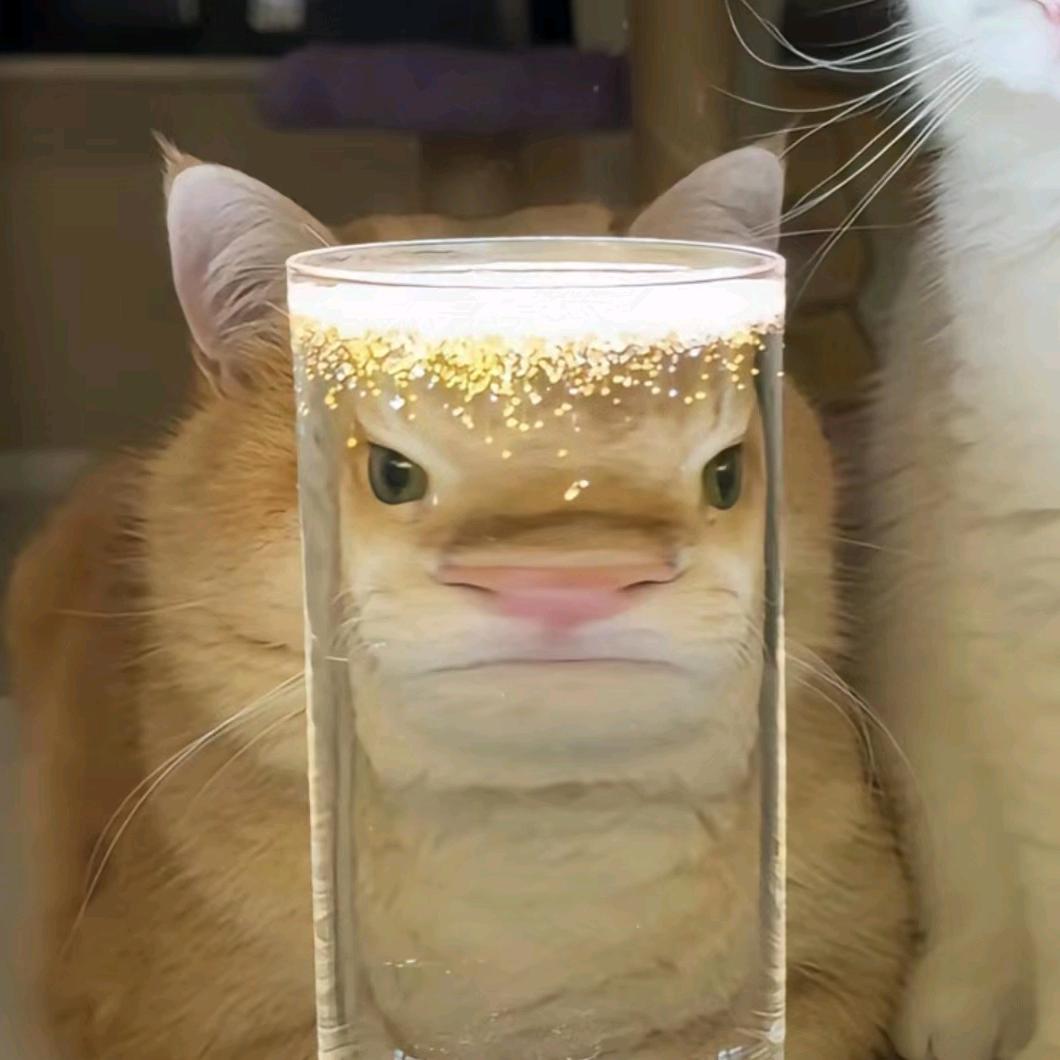 小奇在睡觉