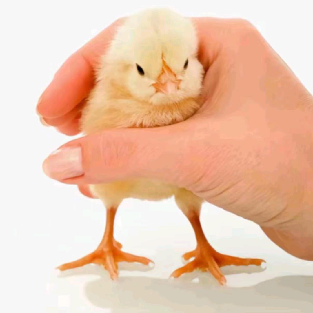 ૮₍ɵ人无再少年๑⃙⃘´༥`