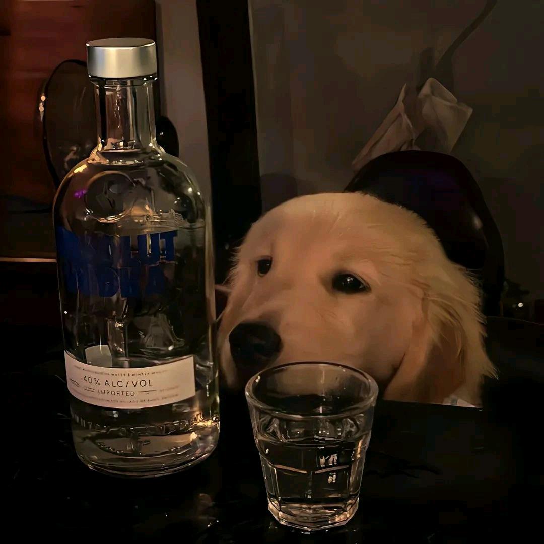 小小苏
