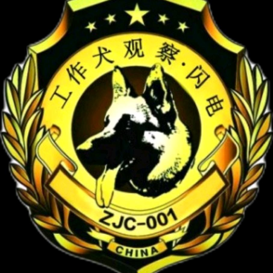 工作犬观察闪电