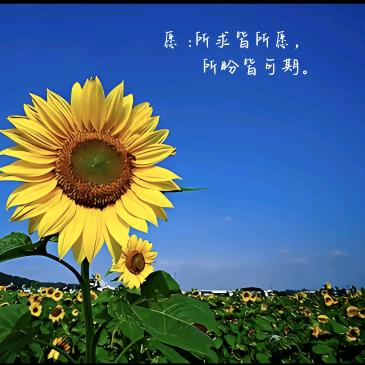 清风沐雨