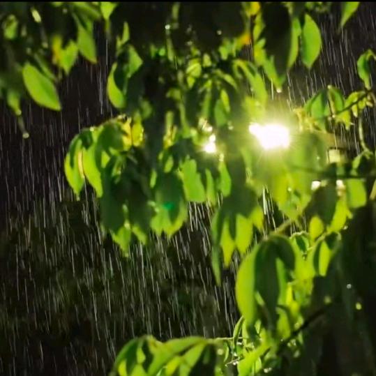 静心听雨