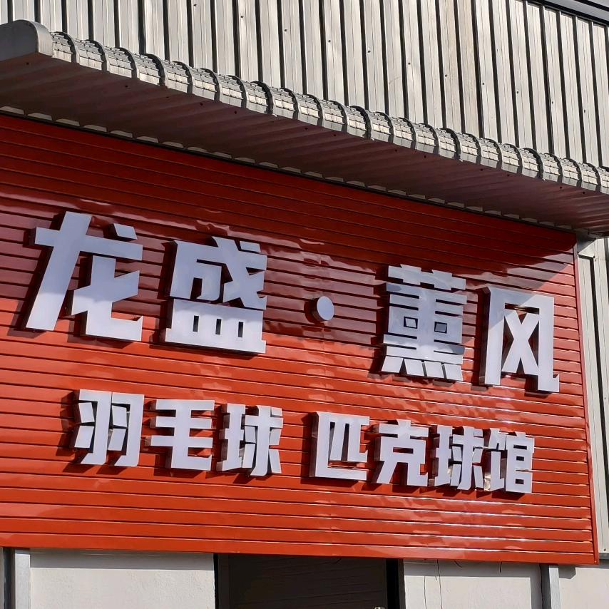 龙盛·薰风羽毛球馆直播号