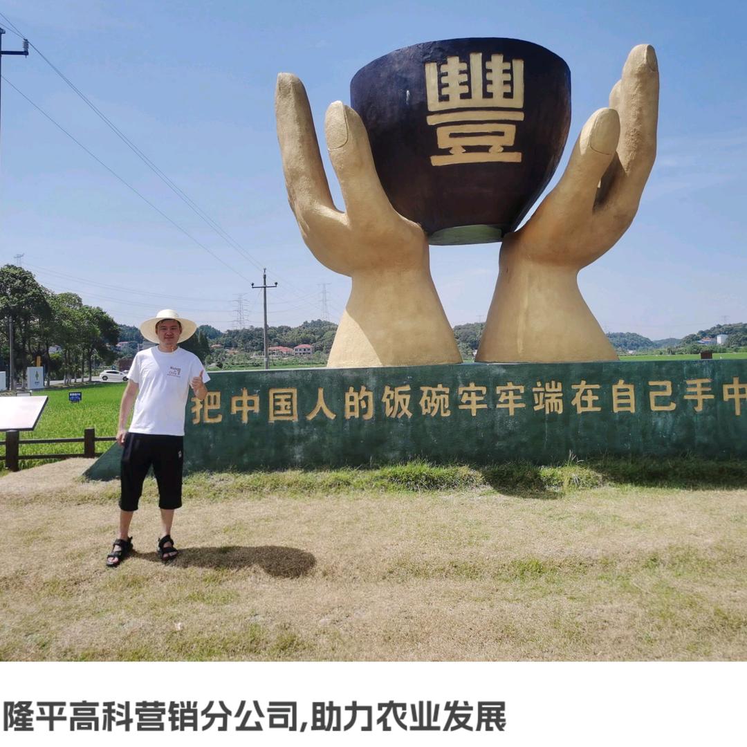 岳岳歌水稻🌾