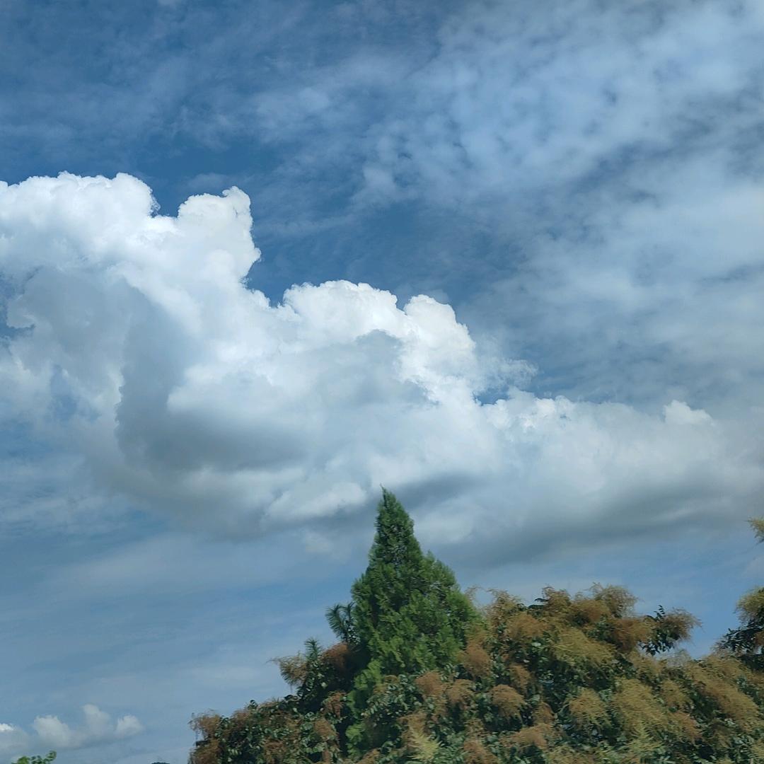 宇辉机械制造厂