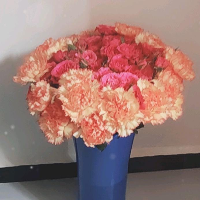 平平安安就是福。