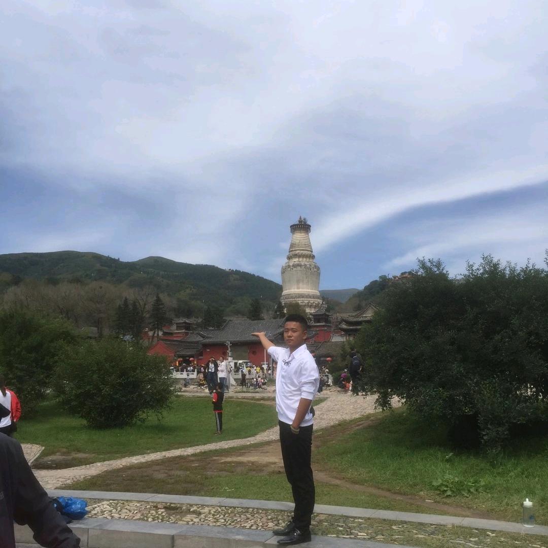 阳$
