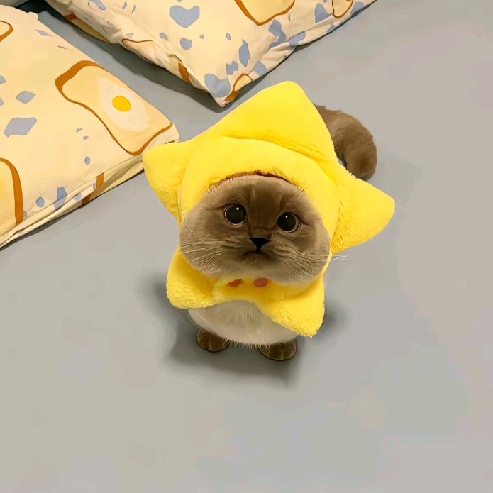 欣月