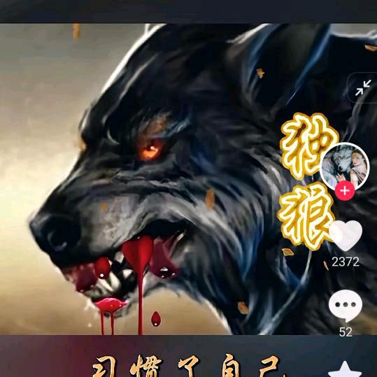 独狼🐺🐺🐺