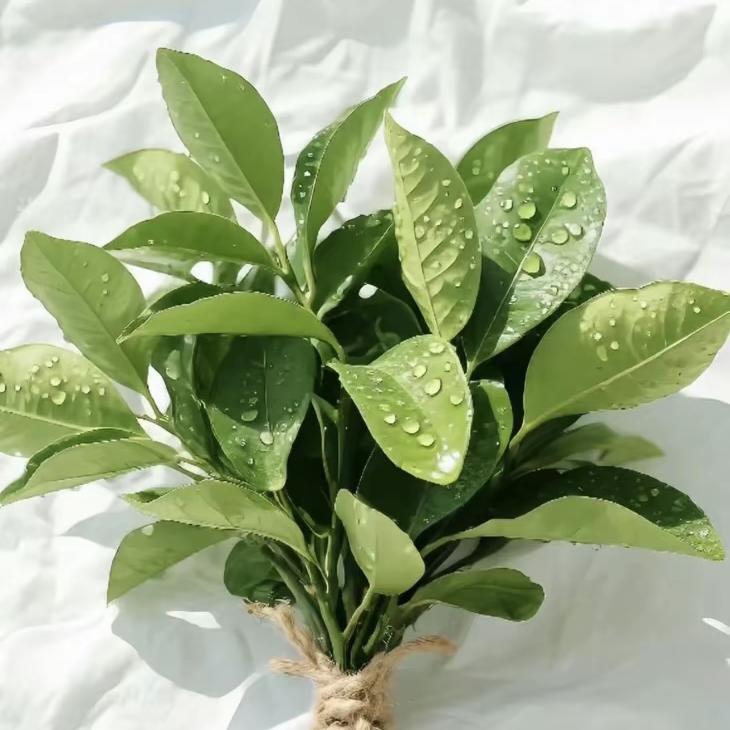 木木木