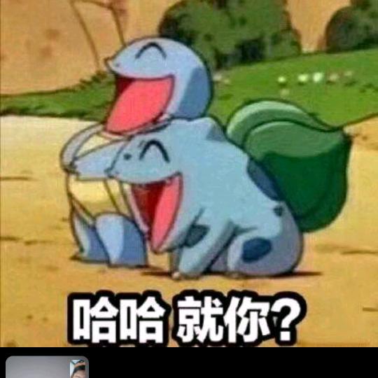 龙哥i