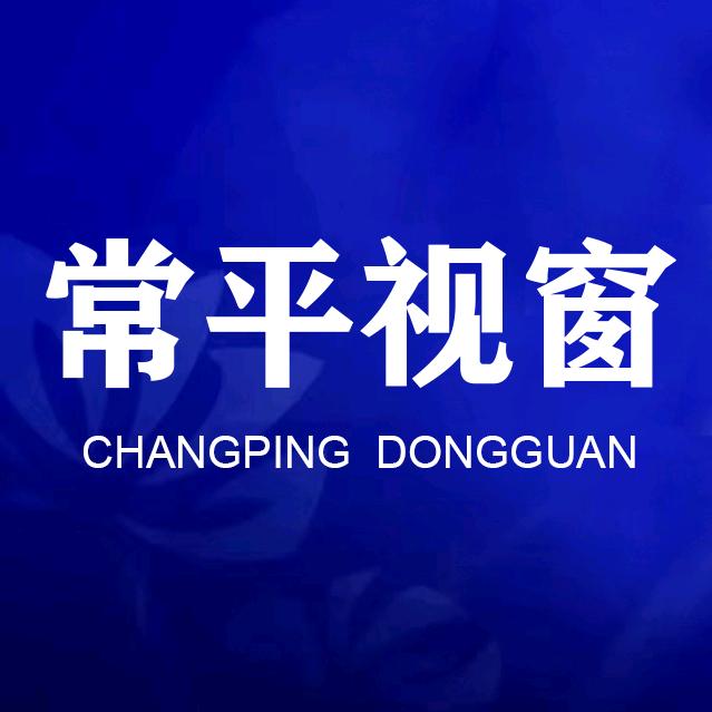 常平视窗公司