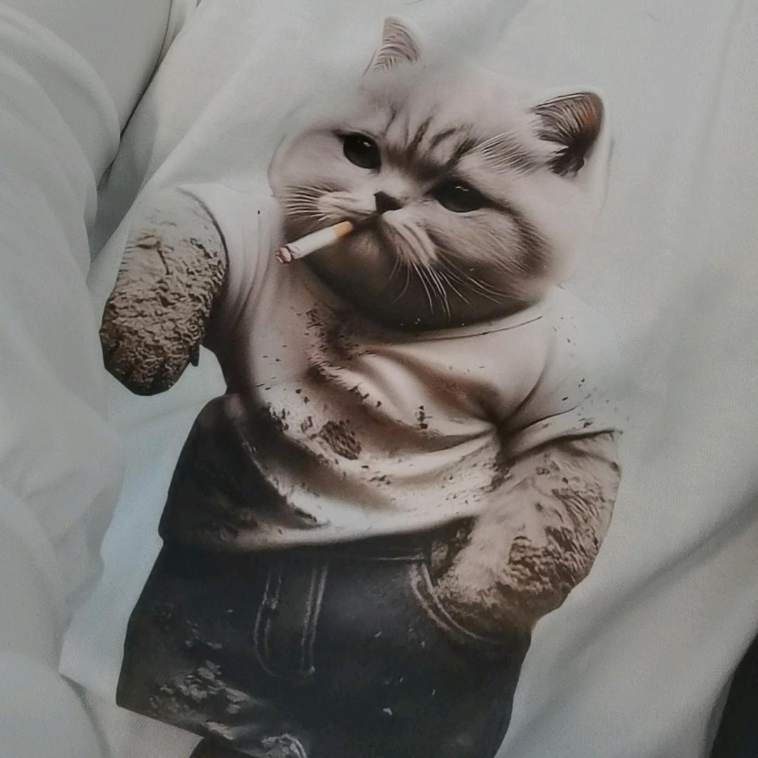 老猫没文化