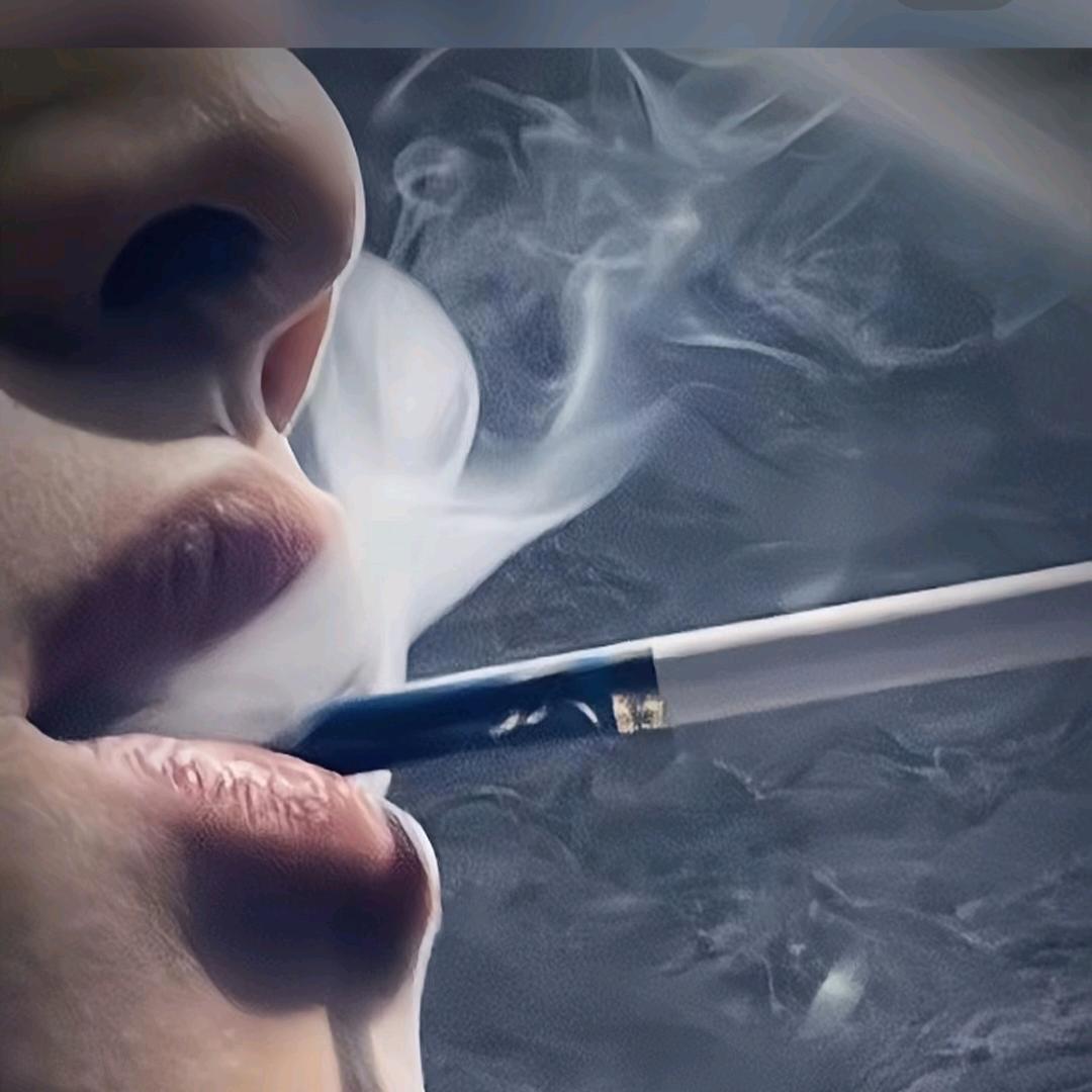孤独人生在旅途