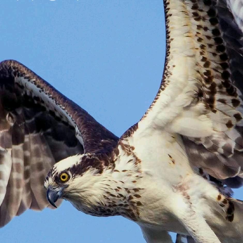 风里雨里高村等你