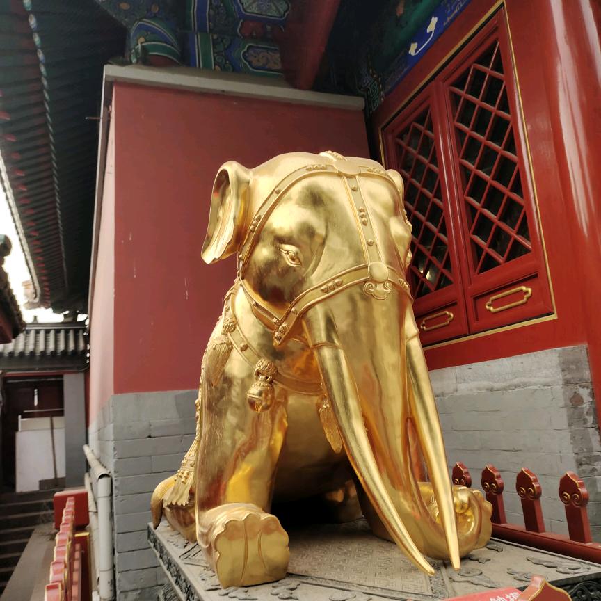 （徐州）三维 筋骨 推拿