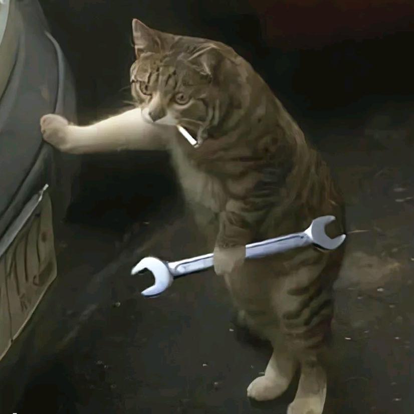 王𝑩𝒖𝑭𝑭