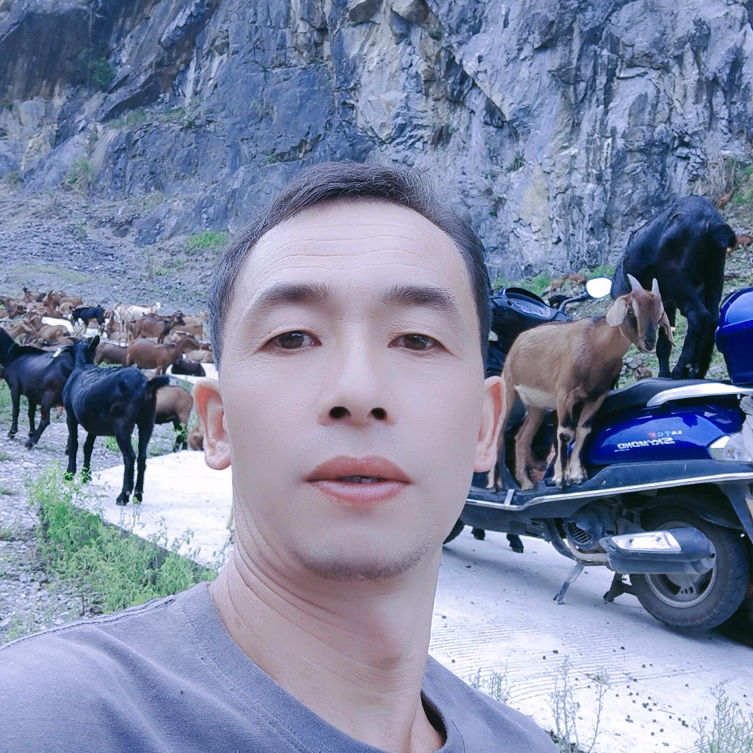 羊狼
