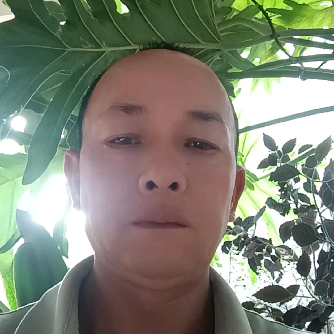 丽江阿六一