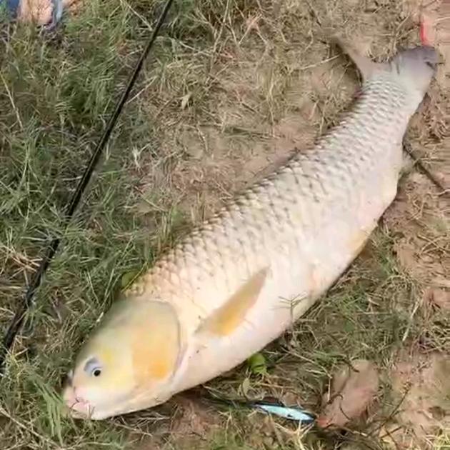 户外钓鱼小张