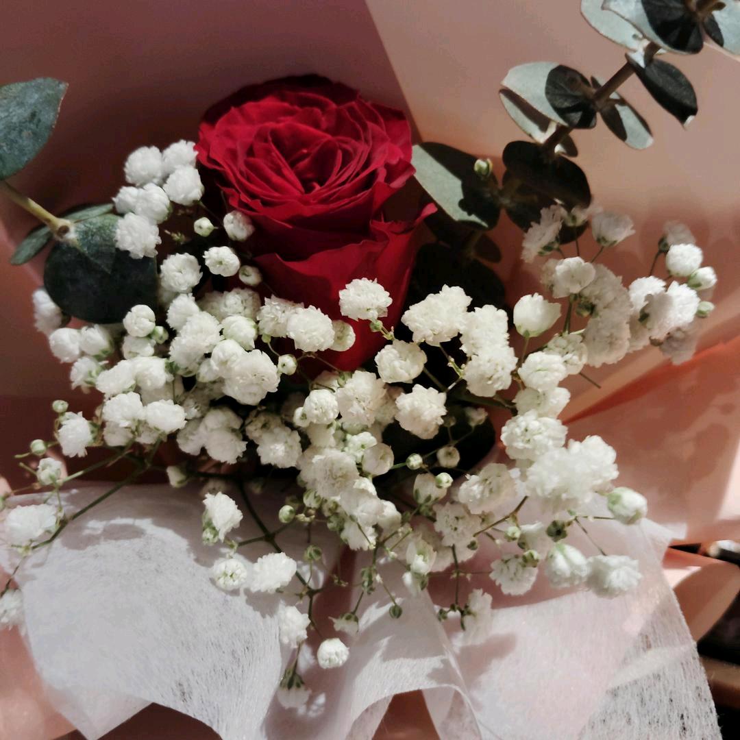 ࿐ᩚ🌺💞℘࿐ᩚ娟℘࿐ᩚ🌺