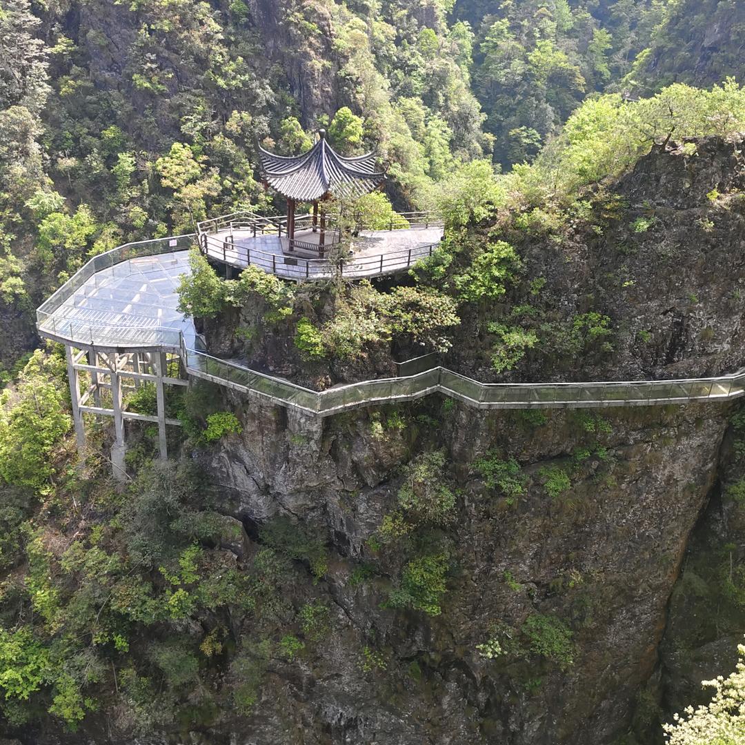 丐中丐