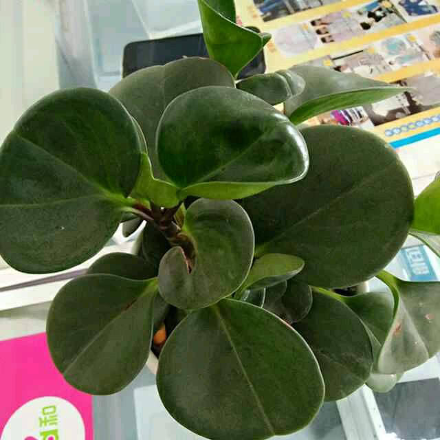 看透说不透_256428381