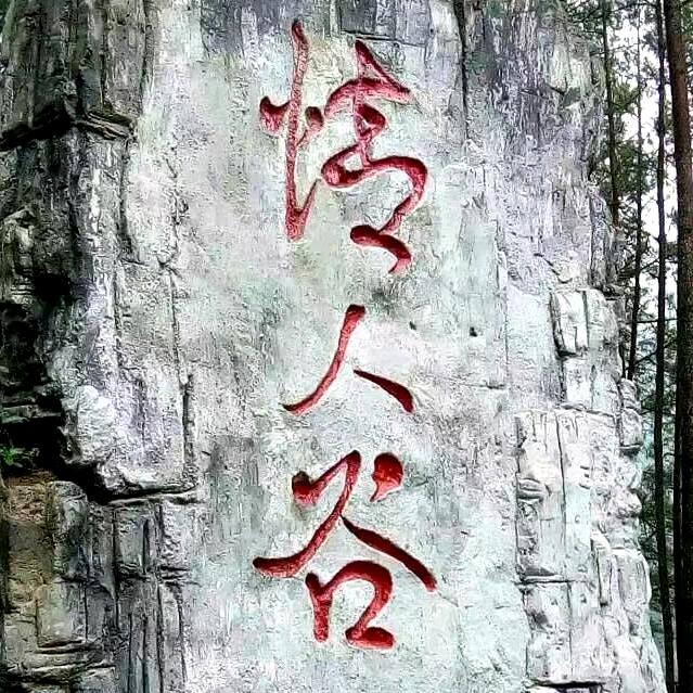 顺菊  1985