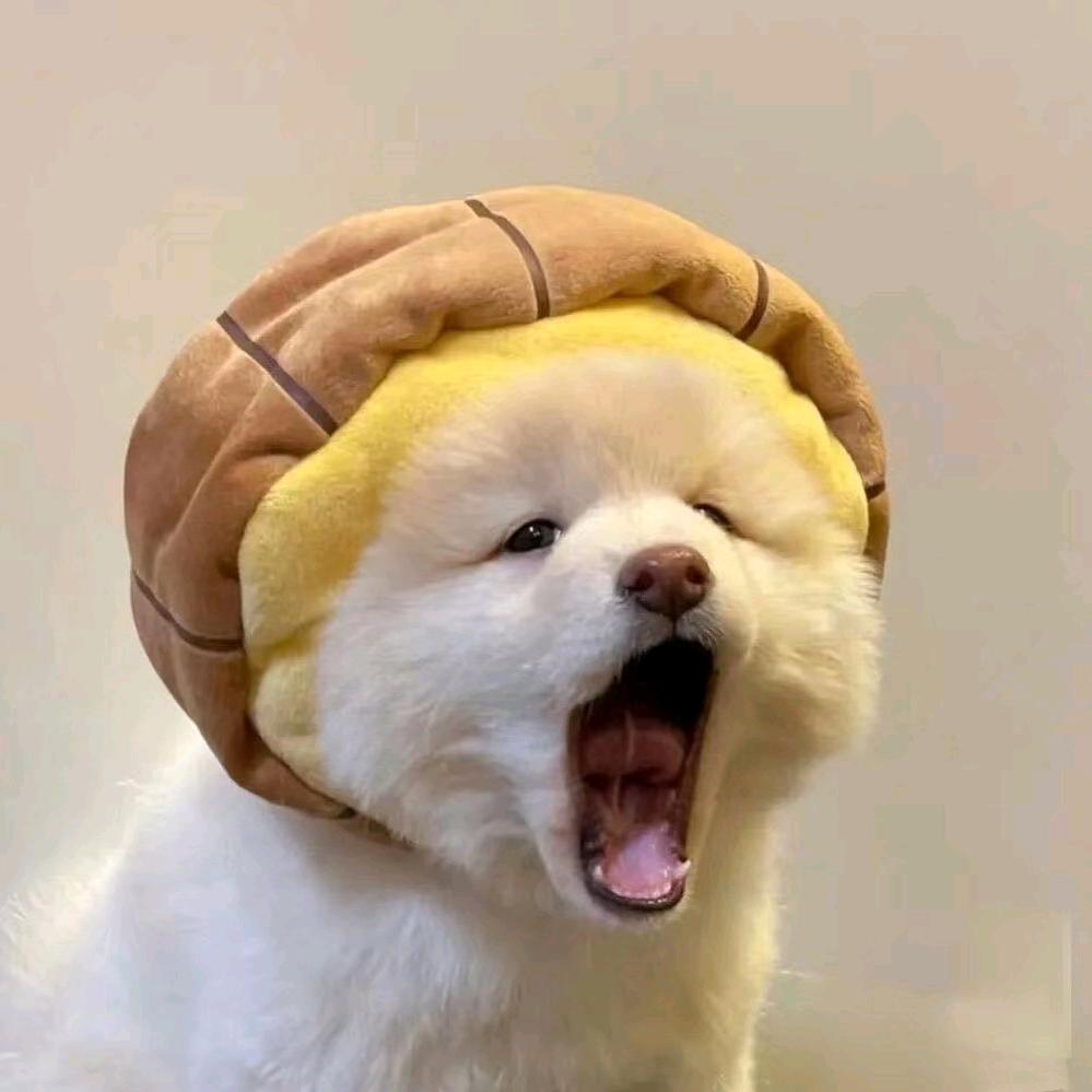 糖醋冰激淋