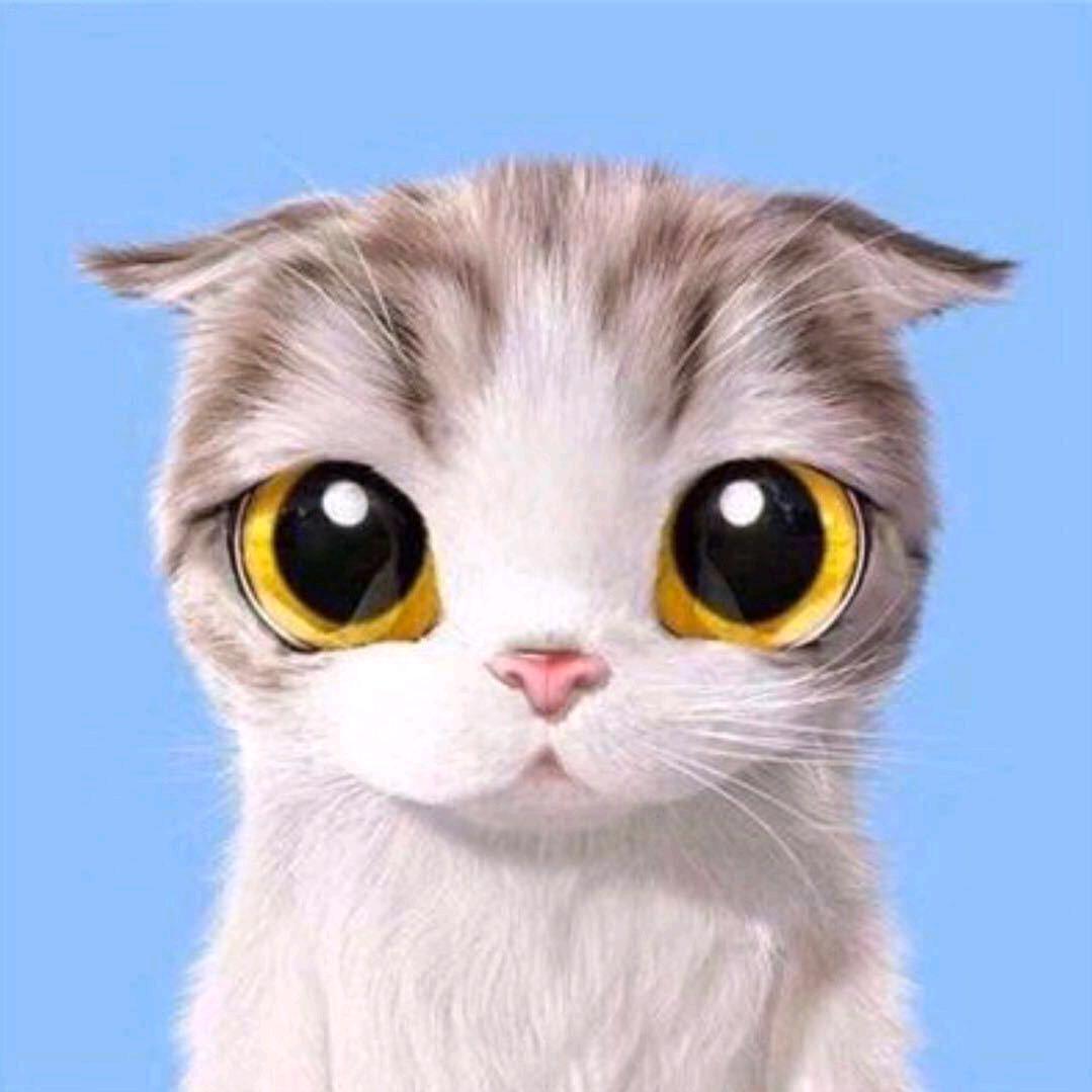 🍋琪琪小（跳绳）🎺